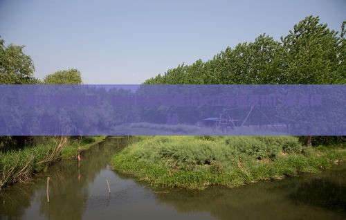 重庆旅游攻略：钦州出发哪里玩长江索道及热门景点探秘