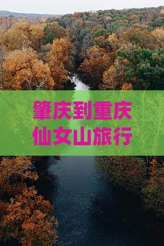 肇庆到重庆仙女山旅行个人攻略