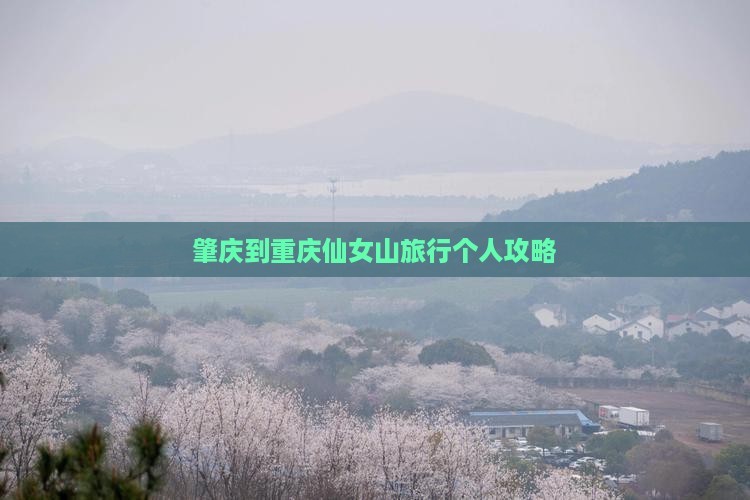 肇庆到重庆仙女山旅行个人攻略