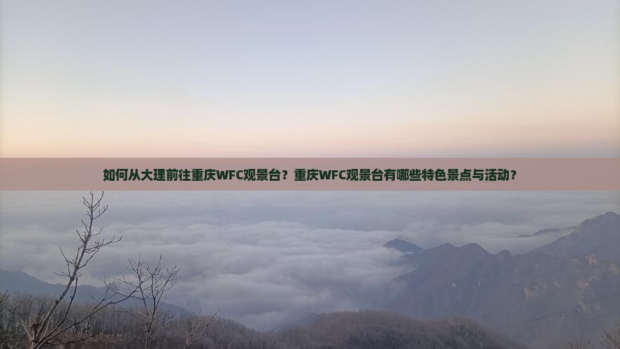 如何从大理前往重庆WFC观景台？重庆WFC观景台有哪些特色景点与活动？