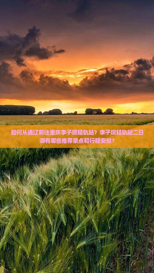 如何从通辽前往重庆李子坝轻轨站？李子坝轻轨站二日游有哪些推荐景点和行程安排？