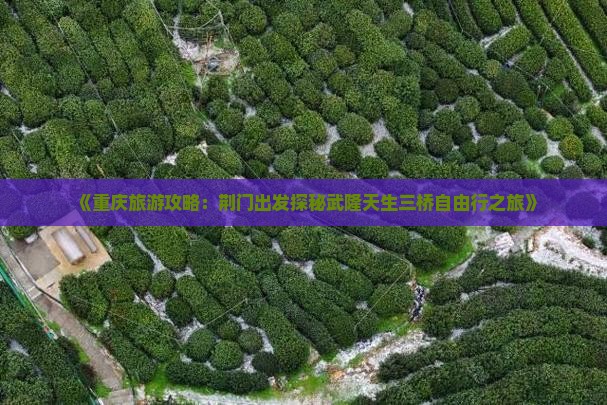 《重庆旅游攻略：荆门出发探秘武隆天生三桥自由行之旅》