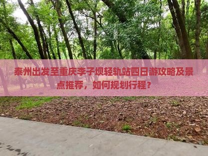 泰州出发至重庆李子坝轻轨站四日游攻略及景点推荐，如何规划行程？