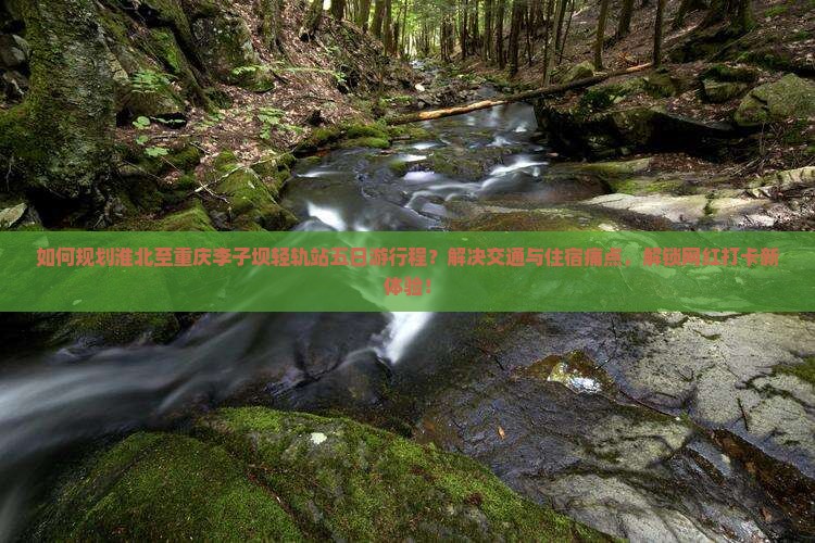 如何规划淮北至重庆李子坝轻轨站五日游行程？解决交通与住宿痛点，解锁网红打卡新体验！