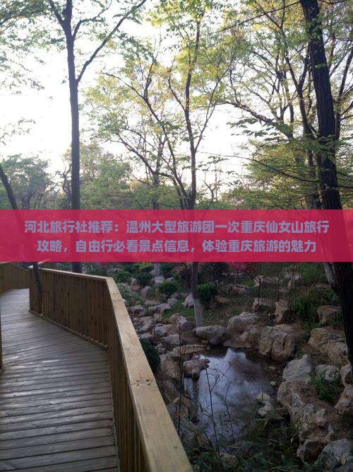 河北旅行社推荐：温州大型旅游团一次重庆仙女山旅行攻略，自由行必看景点信息，体验重庆旅游的魅力
