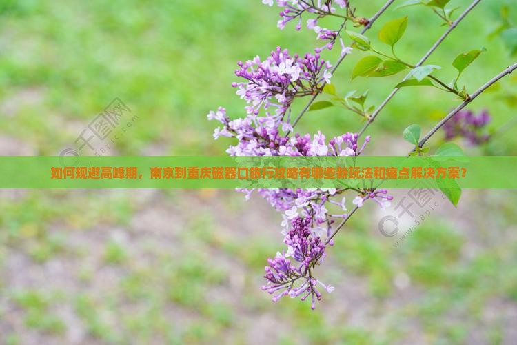 如何规避高峰期，南京到重庆磁器口旅行攻略有哪些新玩法和痛点解决方案？