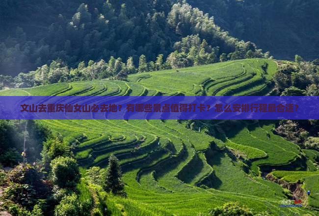文山去重庆仙女山必去地？有哪些景点值得打卡？怎么安排行程最合适？