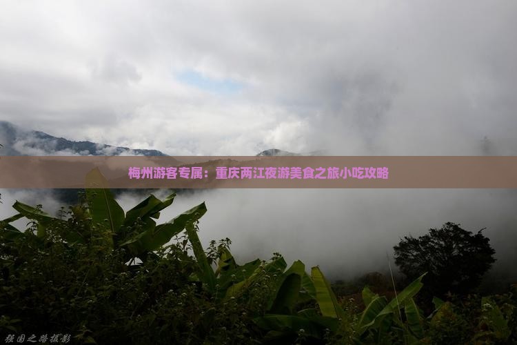 梅州游客专属：重庆两江夜游美食之旅小吃攻略