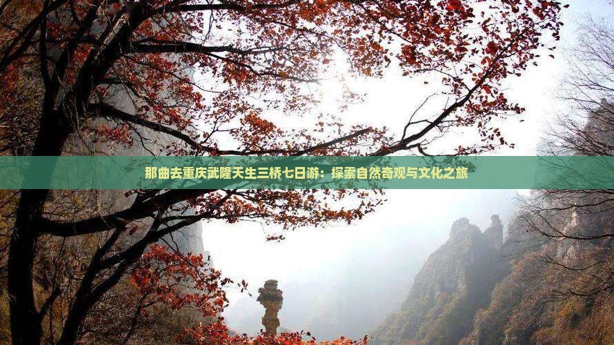 那曲去重庆武隆天生三桥七日游：探索自然奇观与文化之旅