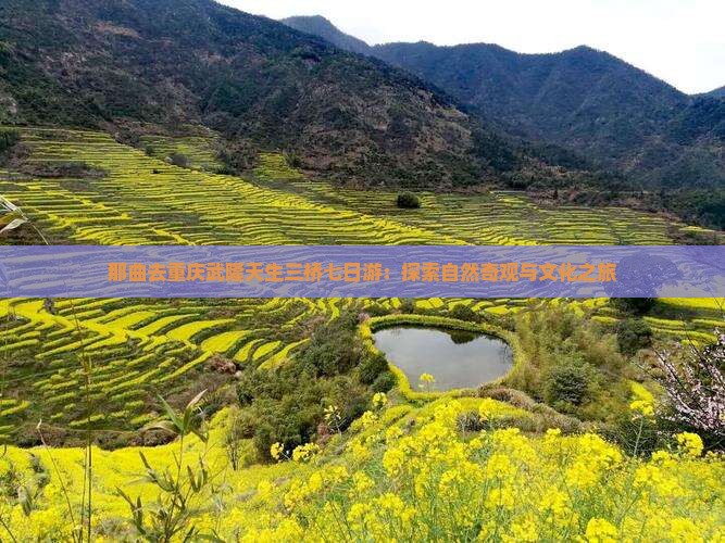 那曲去重庆武隆天生三桥七日游：探索自然奇观与文化之旅
