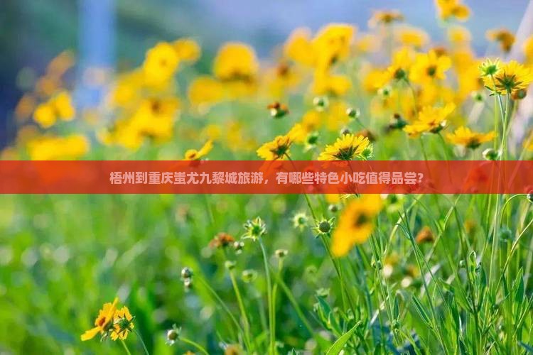 梧州到重庆蚩尤九黎城旅游，有哪些特色小吃值得品尝？
