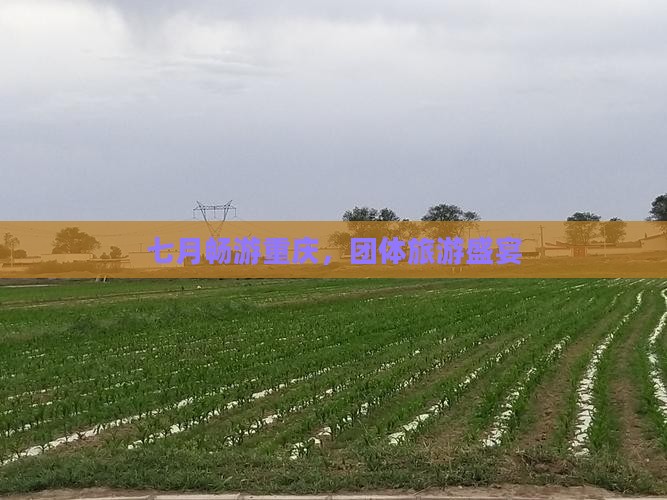 七月畅游重庆，团体旅游盛宴