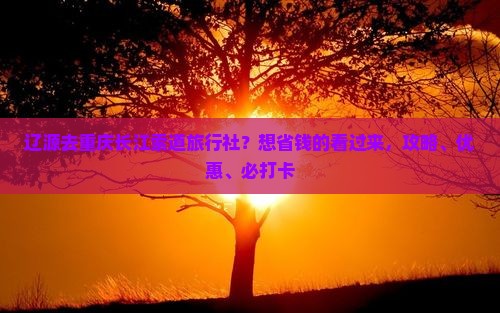 辽源去重庆长江索道旅行社？想省钱的看过来，攻略、优惠、必打卡