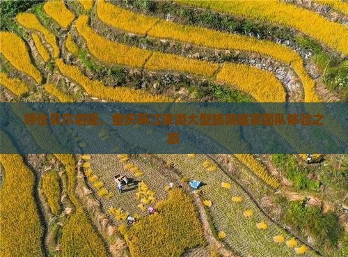 呼伦贝尔启程，重庆两江夜游大型旅游盛宴团队体验之旅