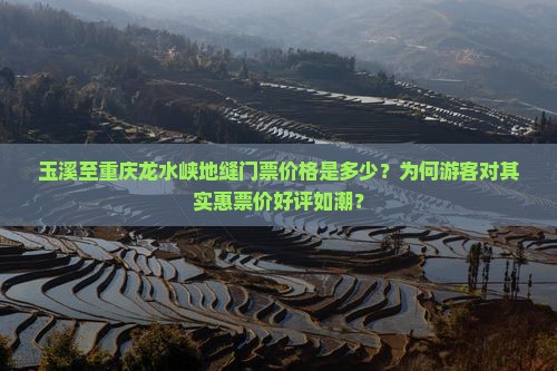 玉溪至重庆龙水峡地缝门票价格是多少？为何游客对其实惠票价好评如潮？