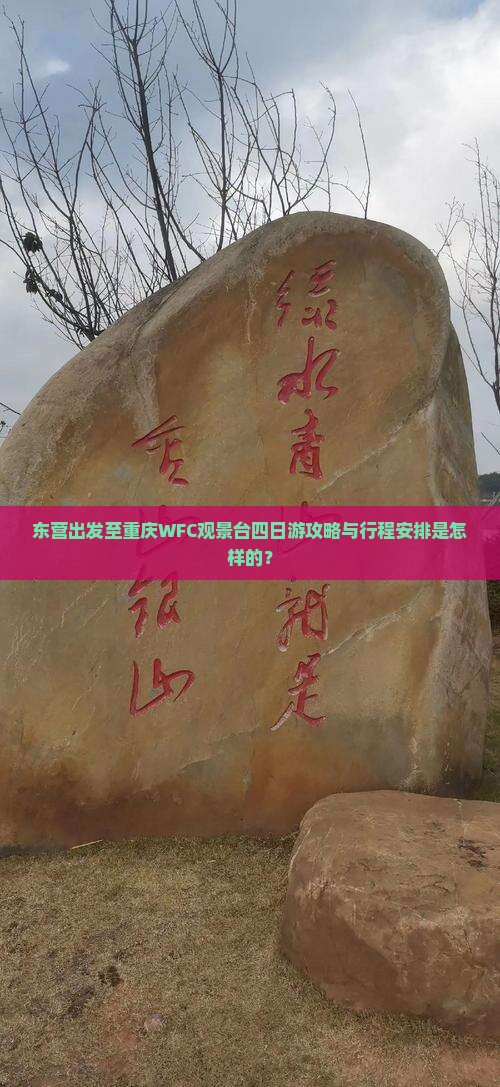 东营出发至重庆WFC观景台四日游攻略与行程安排是怎样的？