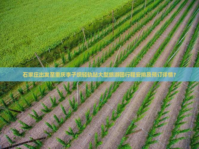 石家庄出发至重庆李子坝轻轨站大型旅游团行程安排及预订详情？