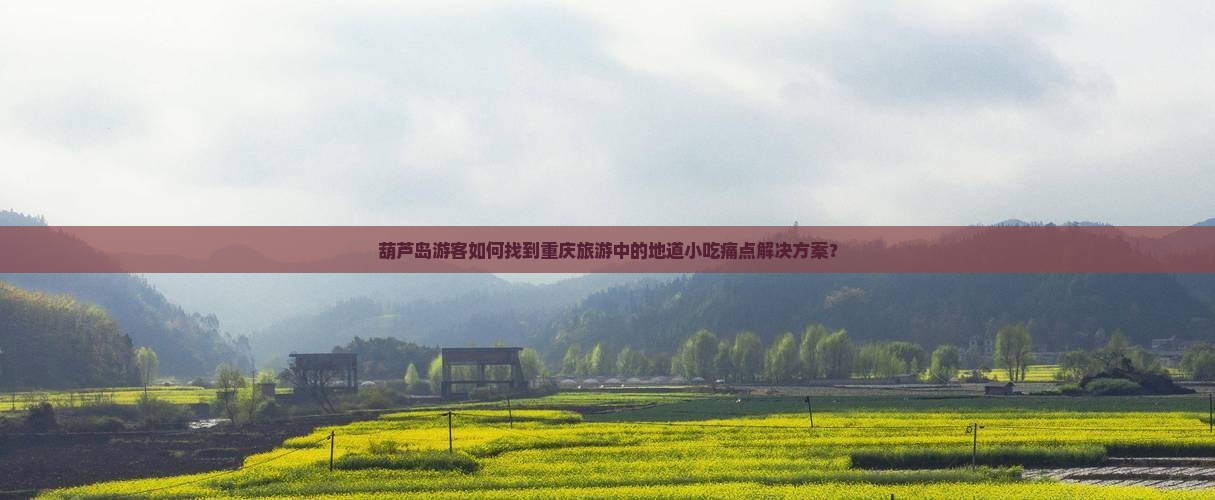 葫芦岛游客如何找到重庆旅游中的地道小吃痛点解决方案？