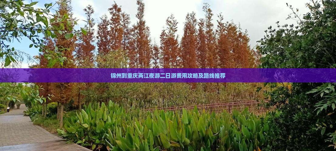 锦州到重庆两江夜游二日游费用攻略及路线推荐