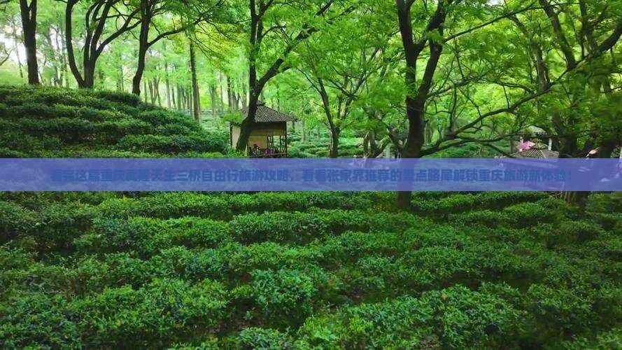 看完这篇重庆武隆天生三桥自由行旅游攻略，看看张家界推荐的景点路犀解锁重庆旅游新体验！