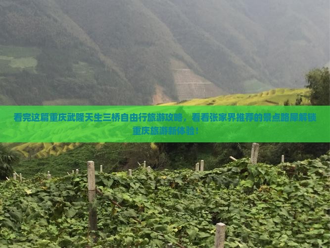 看完这篇重庆武隆天生三桥自由行旅游攻略，看看张家界推荐的景点路犀解锁重庆旅游新体验！