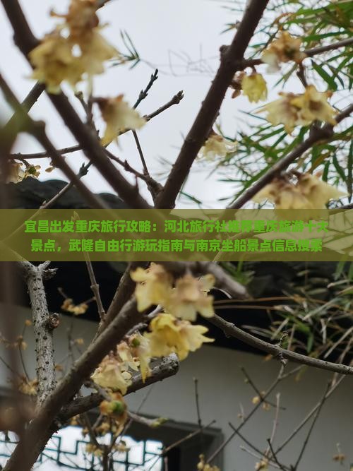 宜昌出发重庆旅行攻略：河北旅行社推荐重庆旅游十大景点，武隆自由行游玩指南与南京坐船景点信息搜索