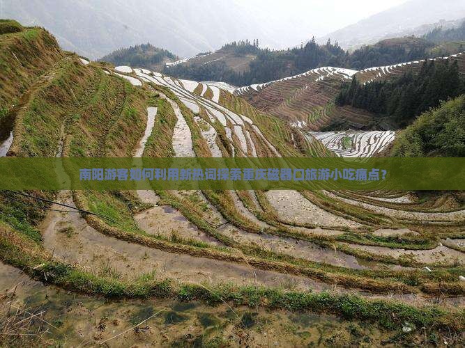 南阳游客如何利用新热词探索重庆磁器口旅游小吃痛点？
