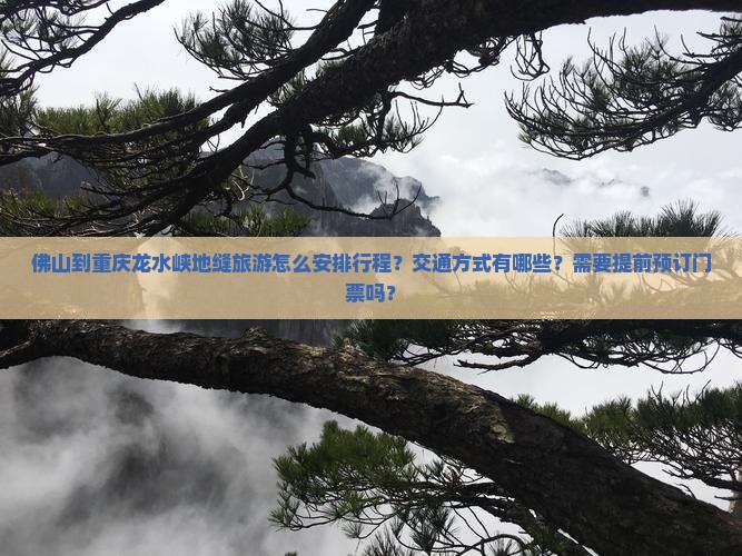 佛山到重庆龙水峡地缝旅游怎么安排行程？交通方式有哪些？需要提前预订门票吗？