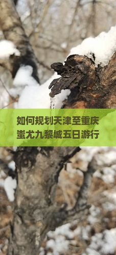 如何规划天津至重庆蚩尤九黎城五日游行程，避开拥堵与高峰，享受深度文化体验？