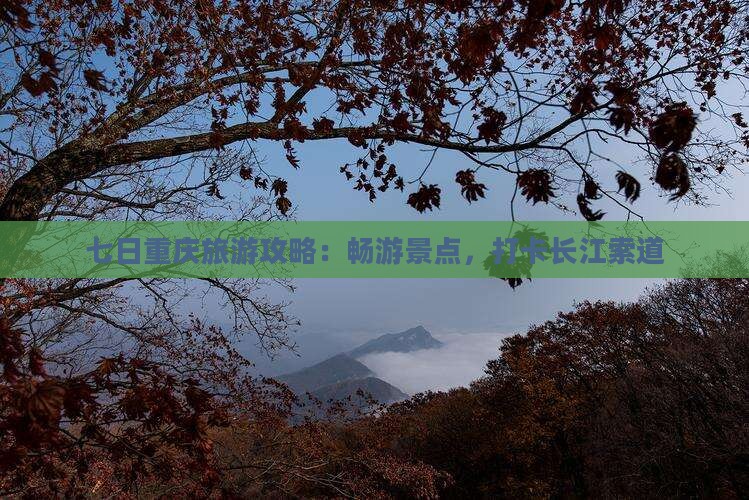 七日重庆旅游攻略：畅游景点，打卡长江索道