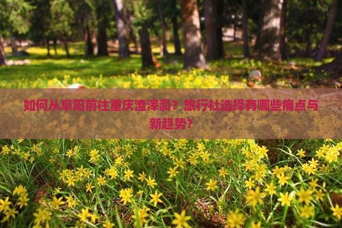 如何从阜阳前往重庆渣滓洞?旅行社选择有哪些痛点与新趋势? 如何从阜阳前往重庆渣滓洞?旅行社选择有哪些痛点与新趋势?