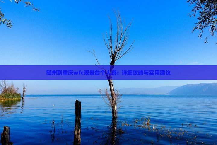 随州到重庆wfc观景台个人游:详细攻略与实用建议 随州到重庆wfc观景台个人游:详细攻略与实用建议