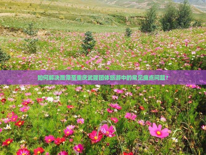 如何解决鹰潭至重庆武隆团体旅游中的常见痛点问题？