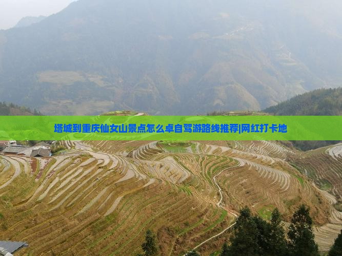 塔城到重庆仙女山景点怎么卓自驾游路线推荐|网红打卡地