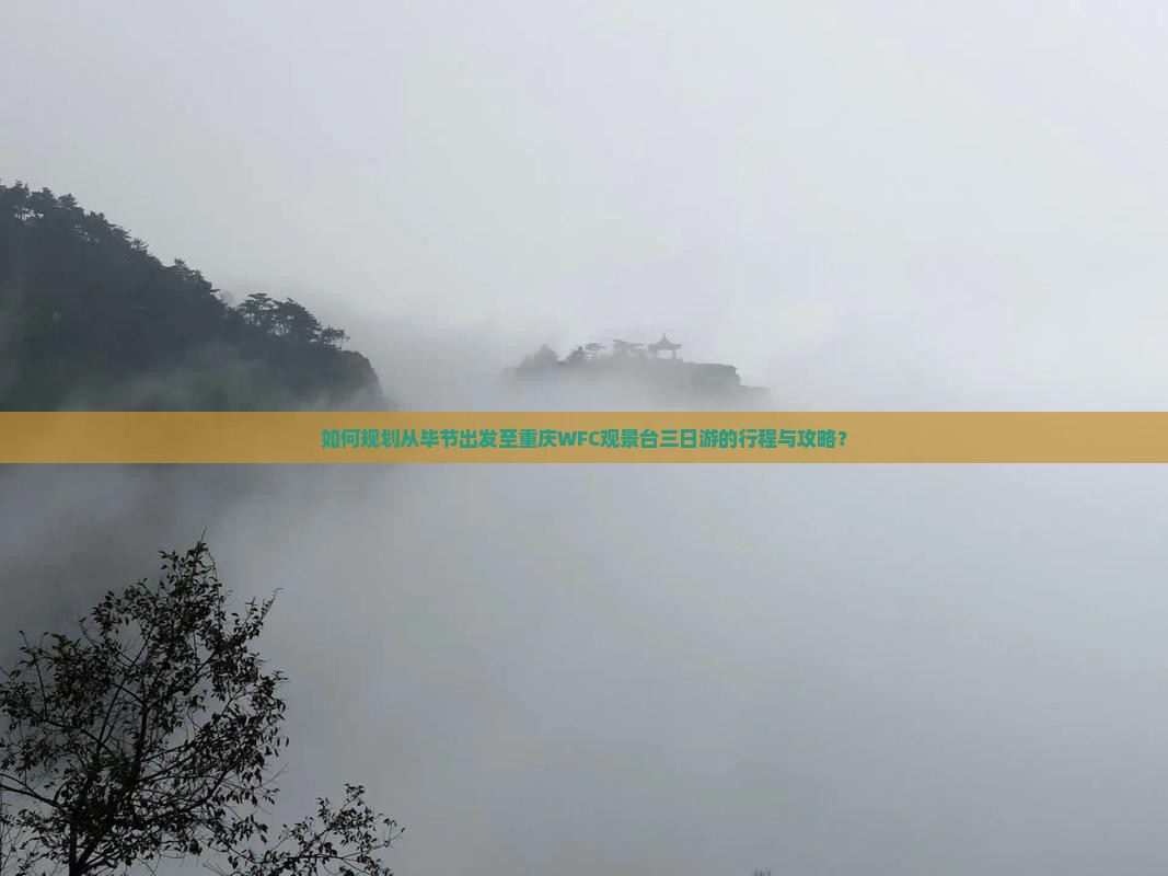 如何规划从毕节出发至重庆WFC观景台三日游的行程与攻略？