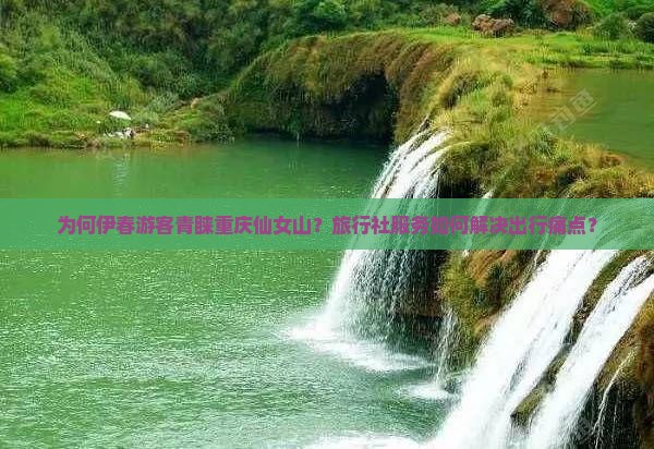 为何伊春游客青睐重庆仙女山？旅行社服务如何解决出行痛点？