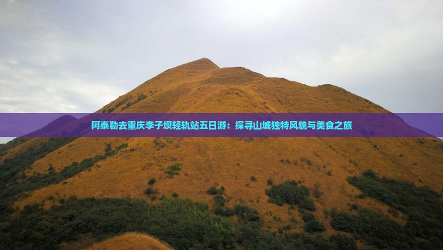 阿泰勒去重庆李子坝轻轨站五日游：探寻山城独特风貌与美食之旅