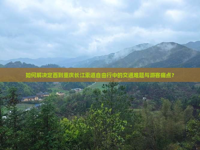 如何解决定西到重庆长江索道自由行中的交通难题与游客痛点？