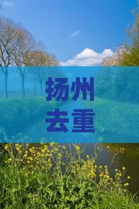 扬州去重庆长江索道五日游报价及行程路线