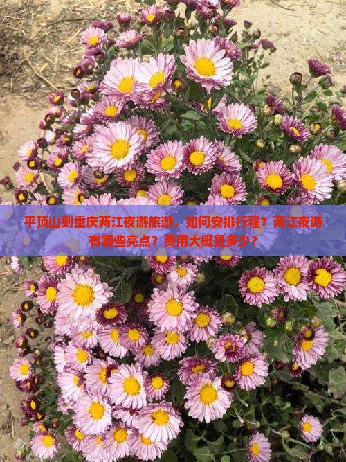 平顶山到重庆两江夜游旅游，如何安排行程？两江夜游有哪些亮点？费用大概是多少？