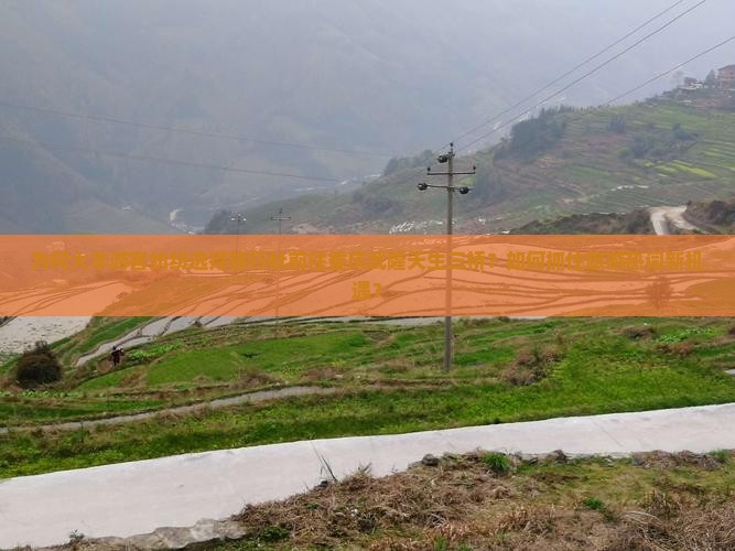 为何大丰游客纷纷选择旅行社前往重庆武隆天生三桥？如何抓住旅游热词新机遇？