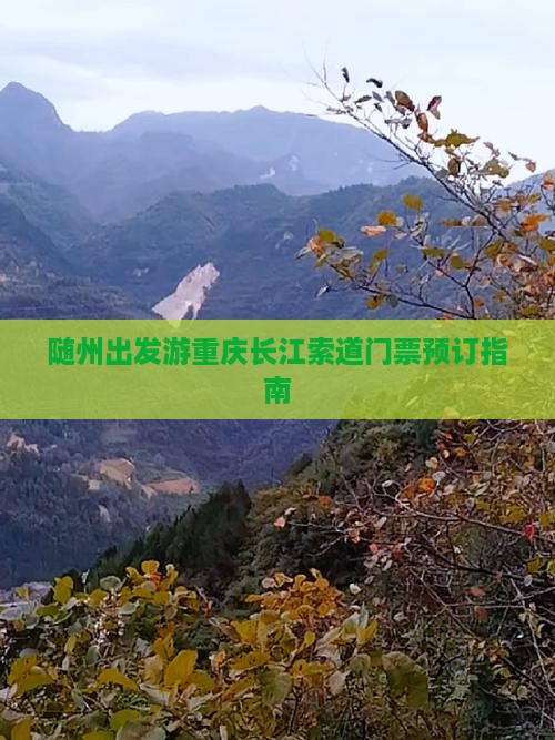 随州出发游重庆长江索道门票预订指南