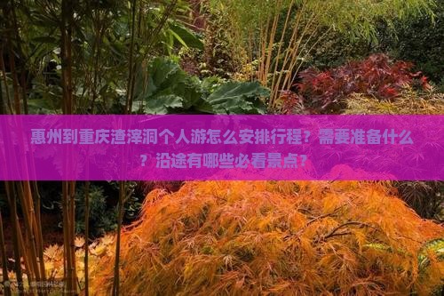 惠州到重庆渣滓洞个人游怎么安排行程？需要准备什么？沿途有哪些必看景点？