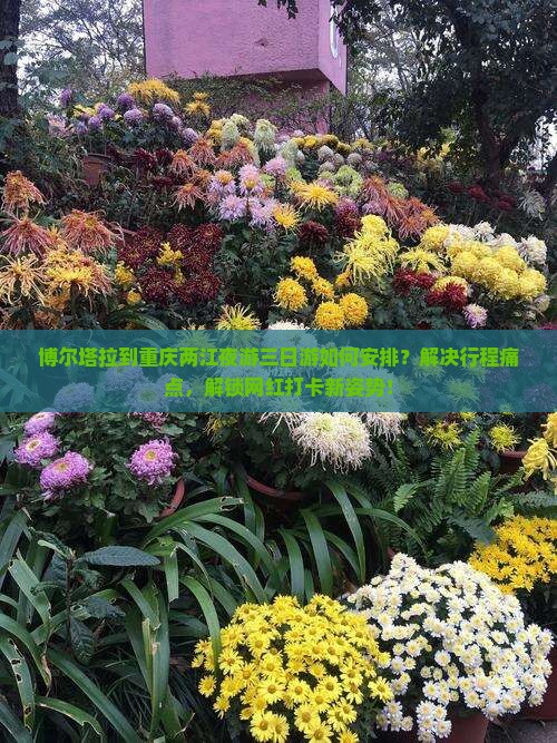 博尔塔拉到重庆两江夜游三日游如何安排？解决行程痛点，解锁网红打卡新姿势！