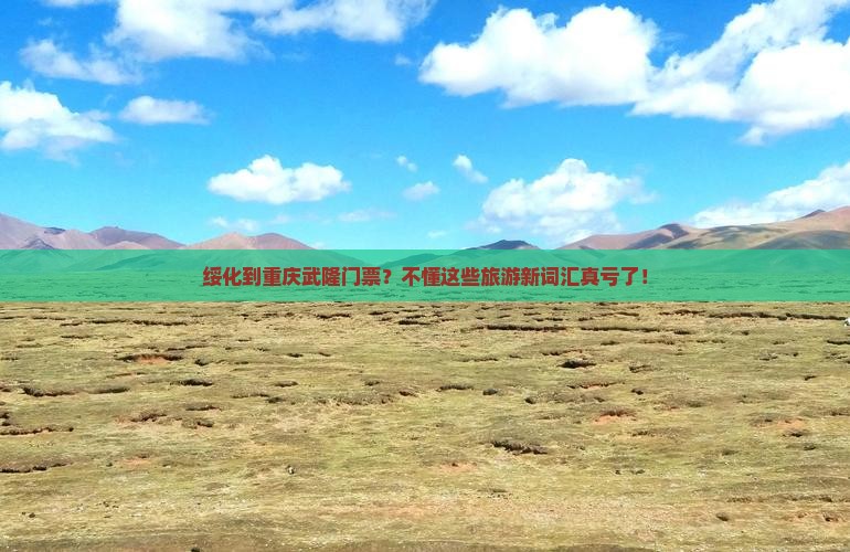 绥化到重庆武隆门票？不懂这些旅游新词汇真亏了！