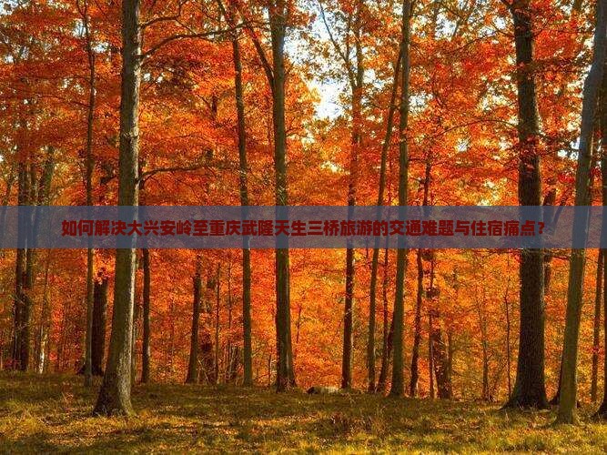 如何解决大兴安岭至重庆武隆天生三桥旅游的交通难题与住宿痛点？