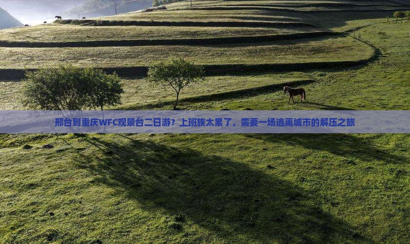 邢台到重庆WFC观景台二日游？上班族太累了，需要一场逃离城市的解压之旅