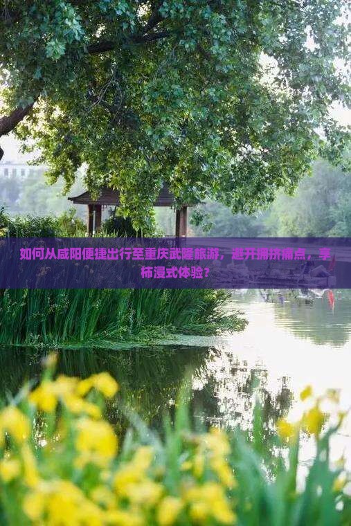如何从咸阳便捷出行至重庆武隆旅游，避开拥挤痛点，享柿浸式体验？