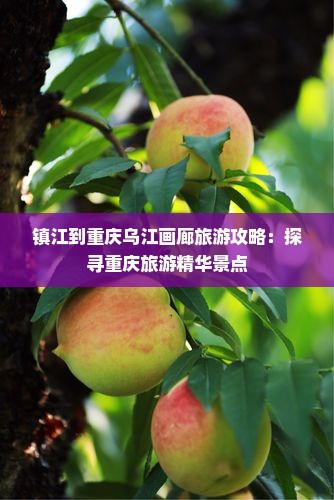 镇江到重庆乌江画廊旅游攻略：探寻重庆旅游精华景点