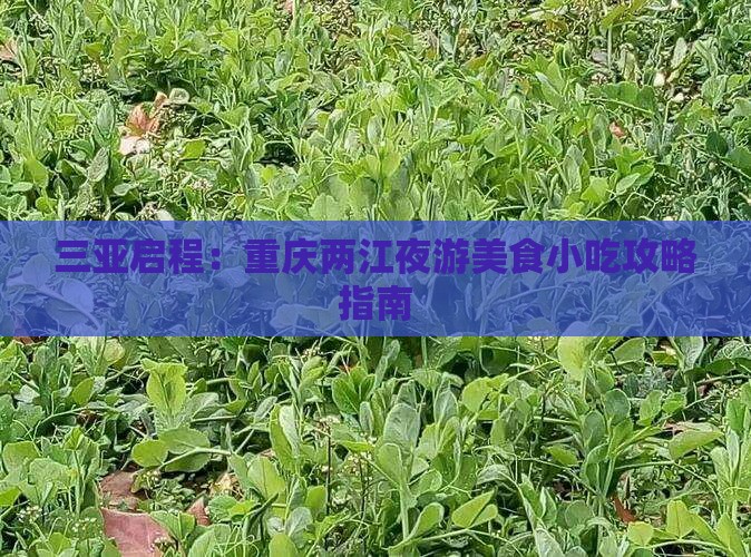 三亚启程:重庆两江夜游美食小吃攻略指南 三亚启程:重庆两江夜游美食小吃攻略指南